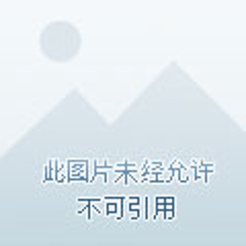 长租公寓市场的深度洞察与发展趋势